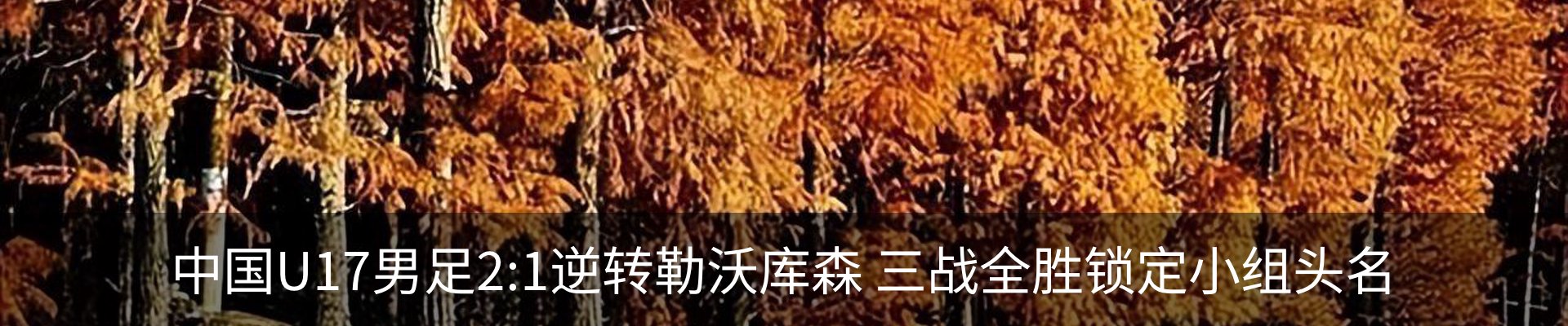 内页banner