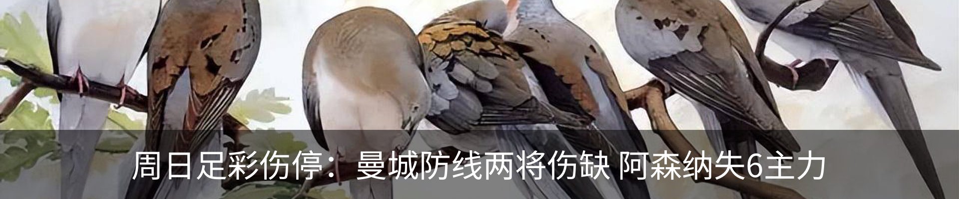 内页banner