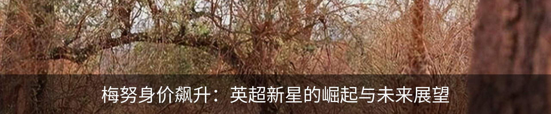 内页banner